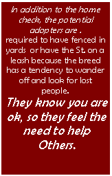 Text Box: In addition to the home check, the potential adopters are .required to have fenced in yards  or have the St. on a leash because the breed has a tendency to wander off and look for lost people. They know you are ok, so they feel the need to help Others.